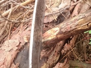 付け根切り欠き